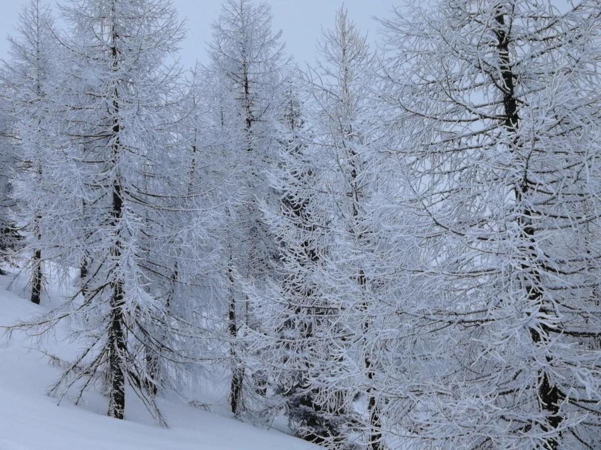 Hotel Dolomiti ليفيكو ترمي المظهر الخارجي الصورة